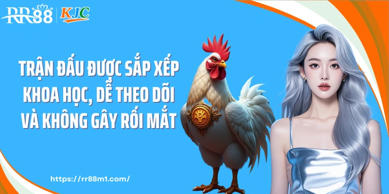 Trận đấu được sắp xếp khoa học, dễ theo dõi và không gây rối mắt